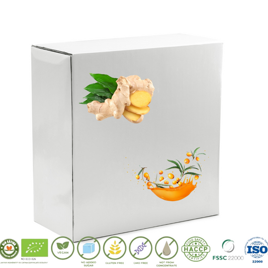 Nectar de catina cu ghimbir BIO 2L